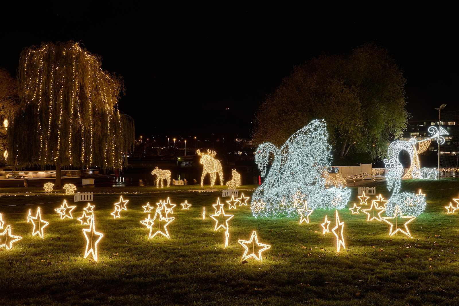 Light stars on the lawn and large glowing swans in a night park by the water