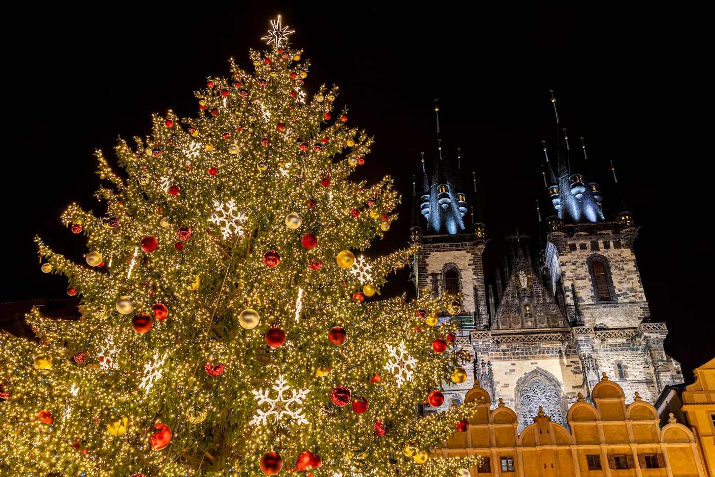 The lit Christmas tree on Old Town Square in front of the towers of the Church of Our Lady before Týn.